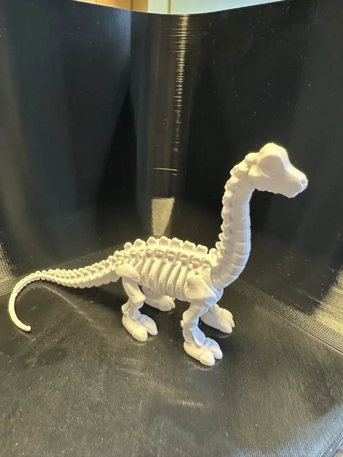 🦕✨ KHỦNG LONG XƯƠNG CỔ DÀI ✨🦕