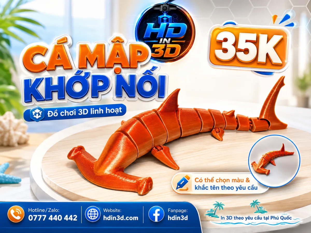 🐬🌊 CÁ MẬP KHỚP NỐI 🌊🐬