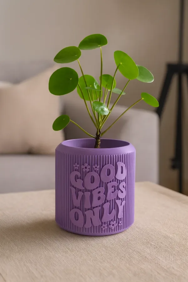 🌿💖 CHẬU CÂY "GOOD VIBES" 💖🌿