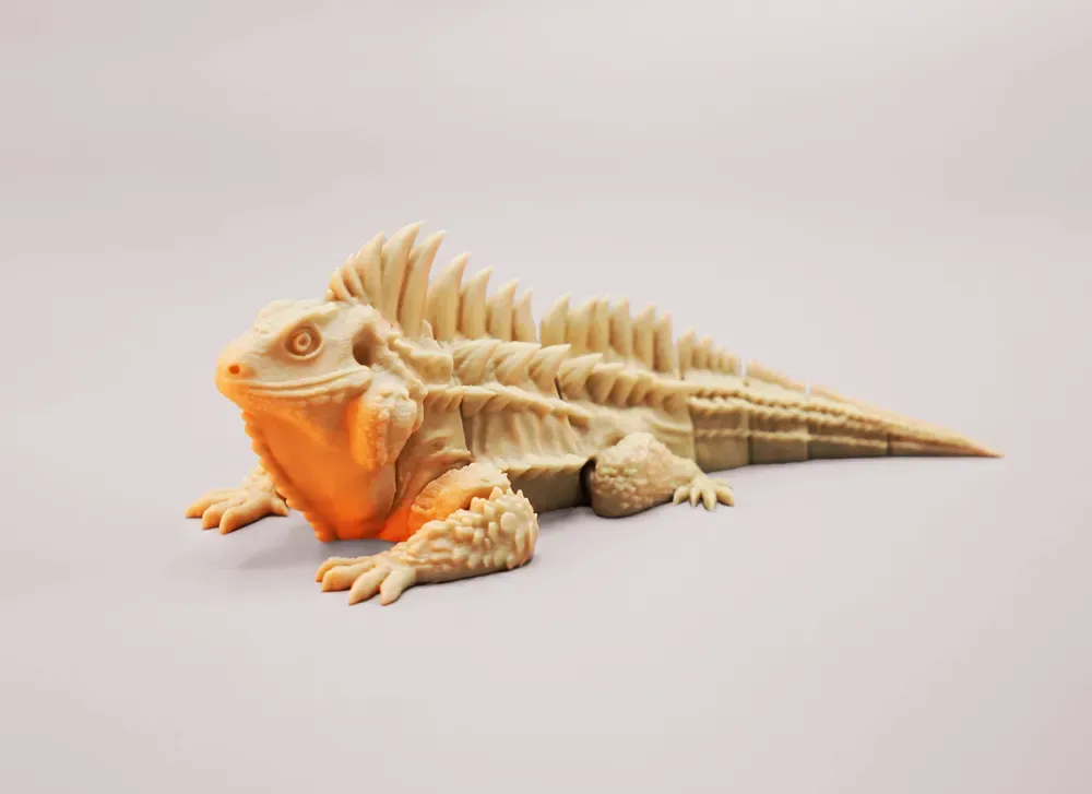 🦎 Kỳ nhông cầu vồng 🌈