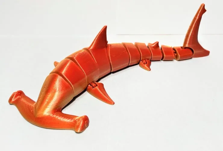 🐬🌊 CÁ MẬP KHỚP NỐI 🌊🐬