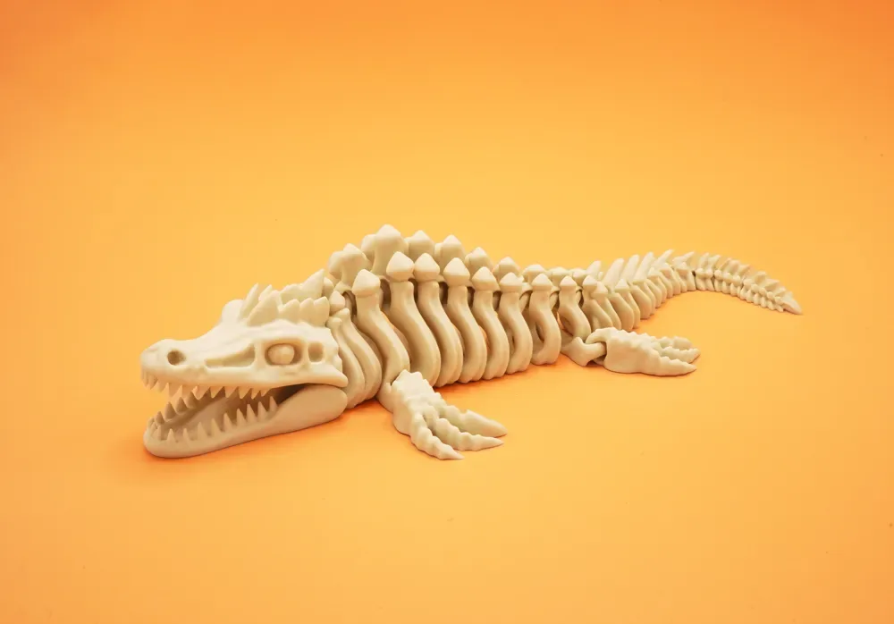 🦴🐊 Cá sấu xương cầu vồng 🌈