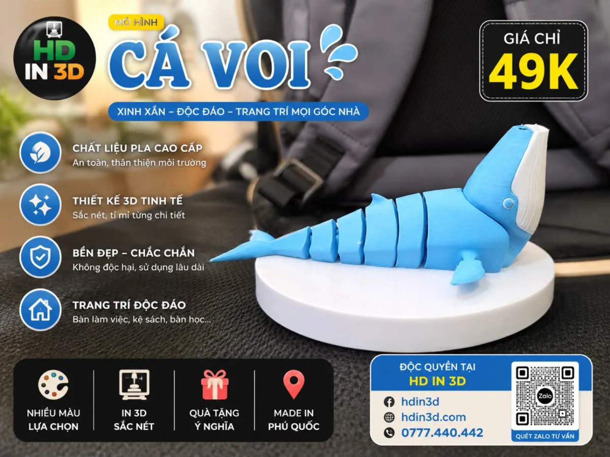 🐋💙 CÁ VOI IN 3D 💙🐋