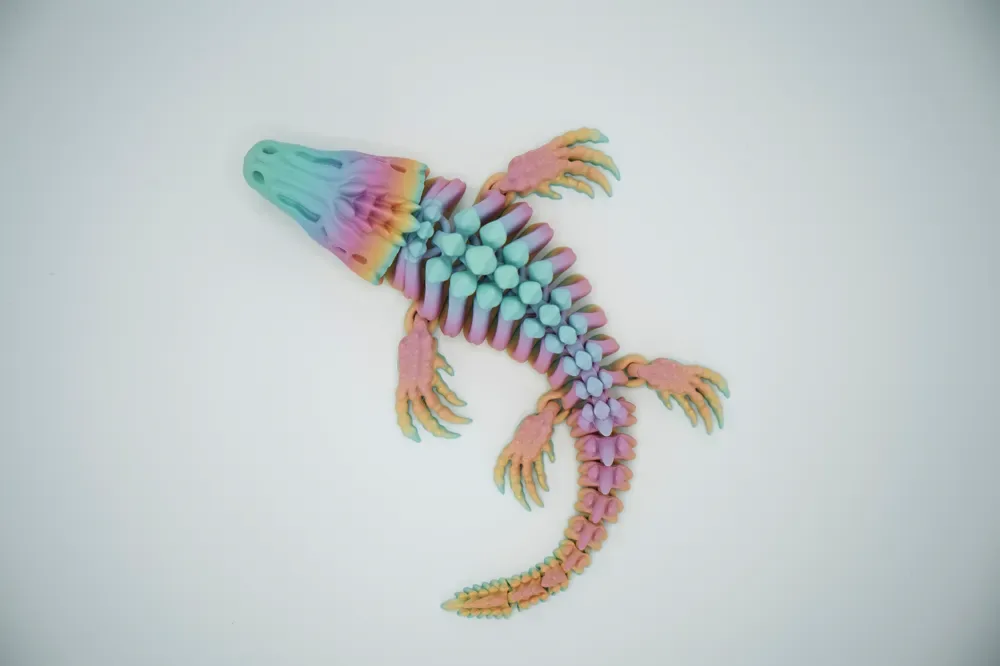 🦴🐊 Cá sấu xương cầu vồng 🌈
