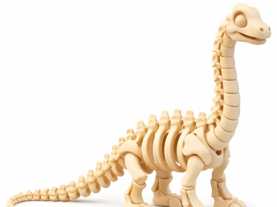 🦕✨ KHỦNG LONG XƯƠNG CỔ DÀI ✨🦕
