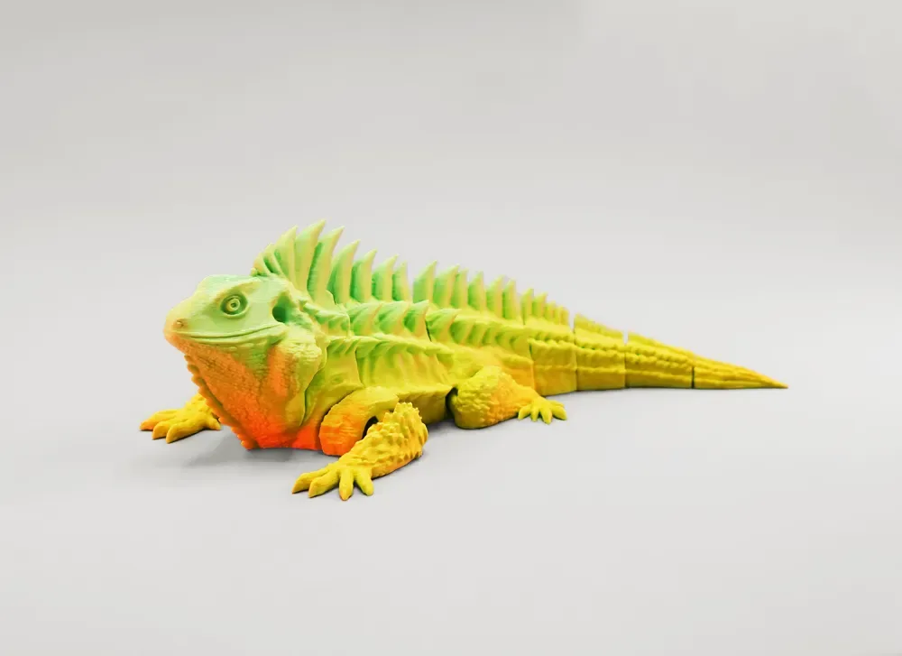 🦎 Kỳ nhông cầu vồng 🌈