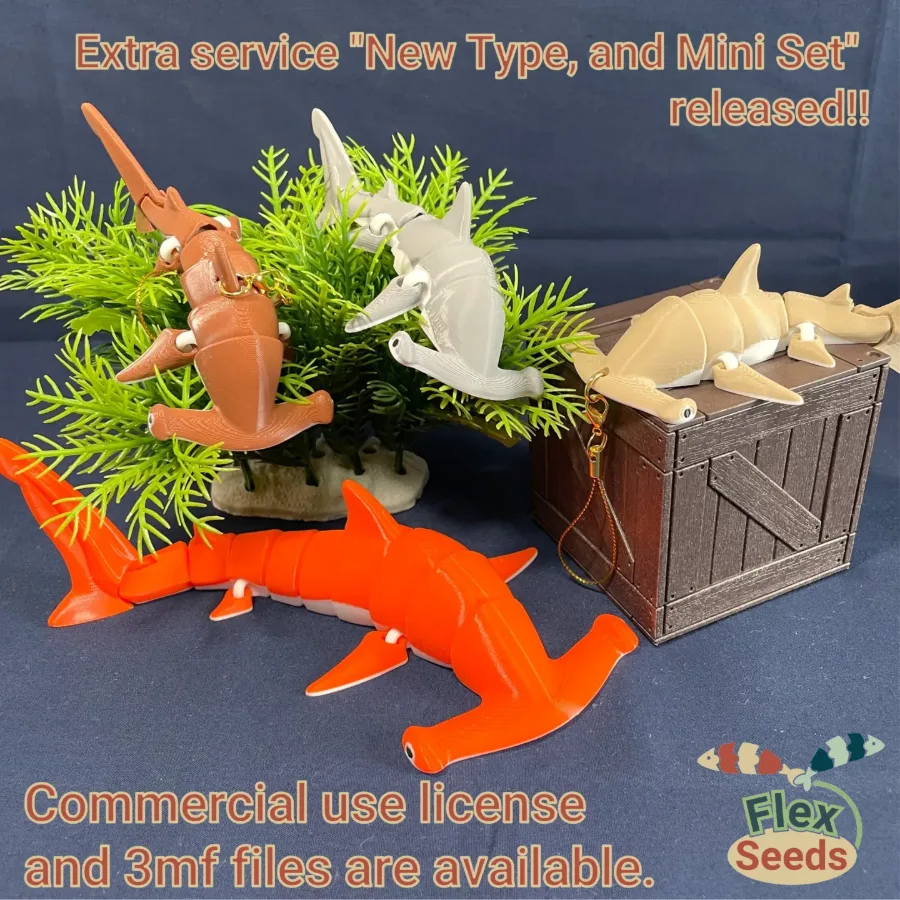 🐬🌊 CÁ MẬP KHỚP NỐI 🌊🐬
