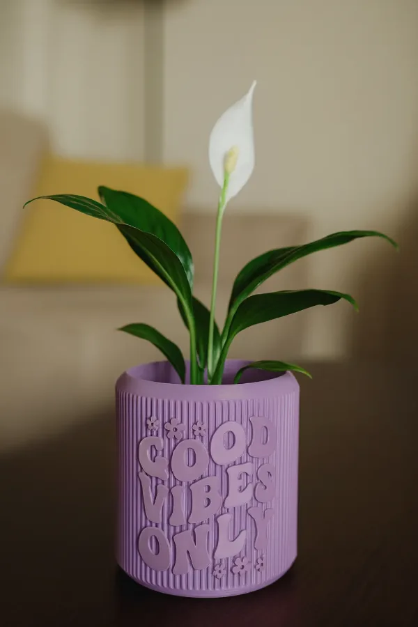🌿💖 CHẬU CÂY "GOOD VIBES" 💖🌿