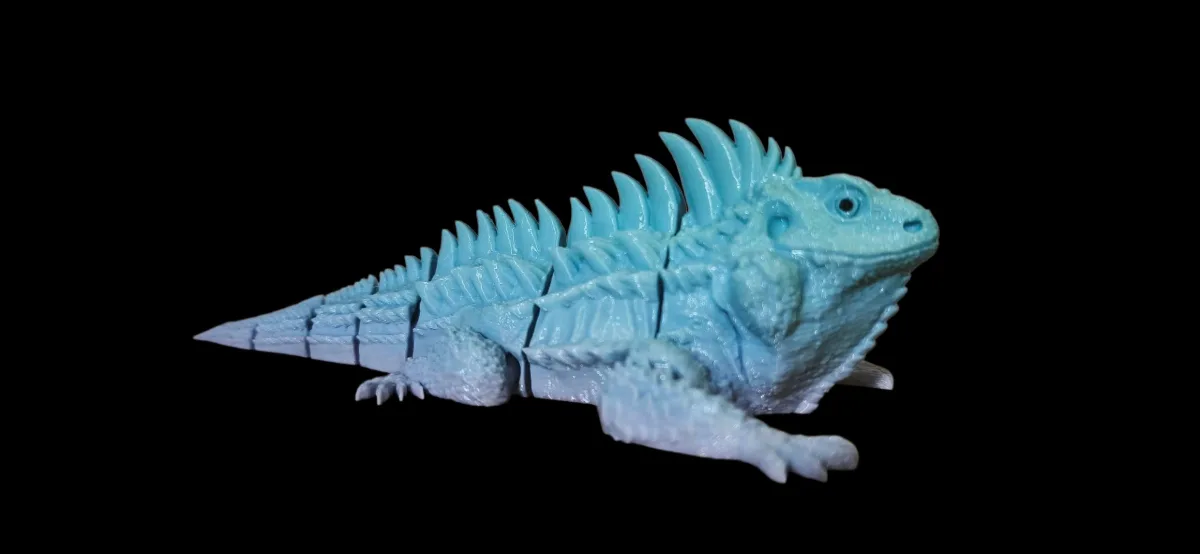 🦎 Kỳ nhông cầu vồng 🌈